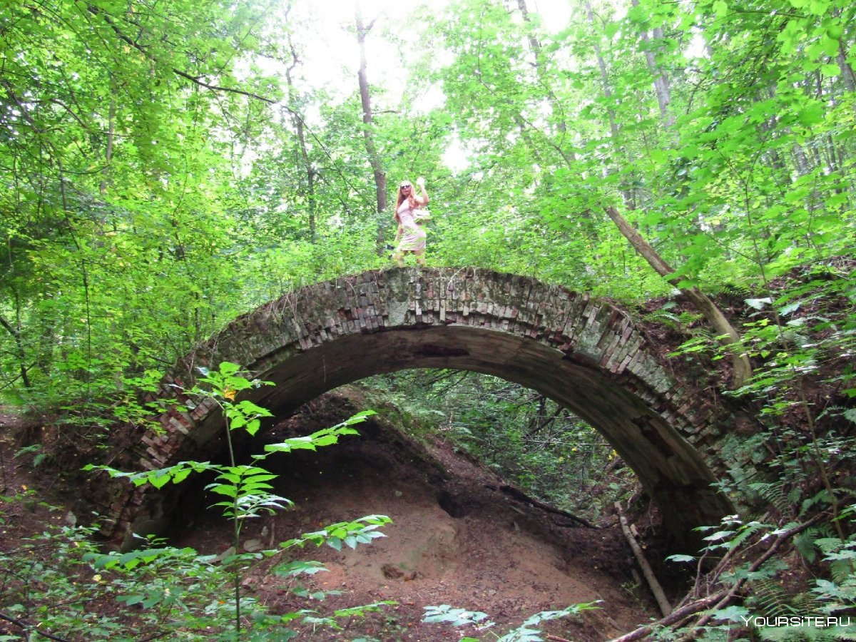 Каменный мост в Хотылево Брянск