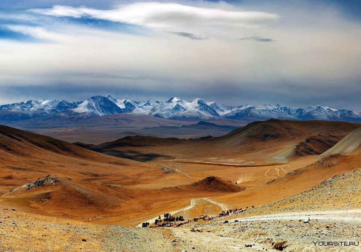 Badrah Монголия