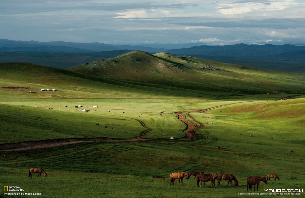 Монгольские степи фото