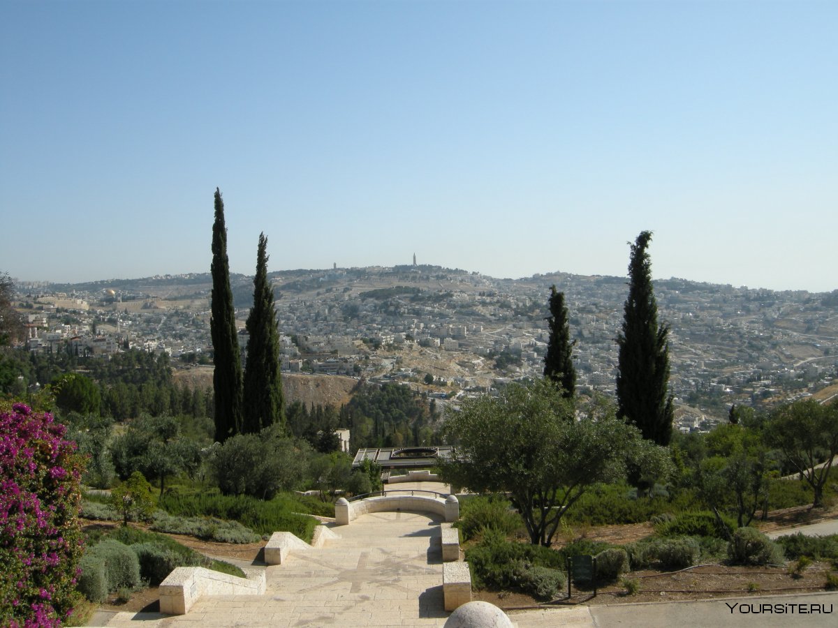 Израиль Иерусалим природа
