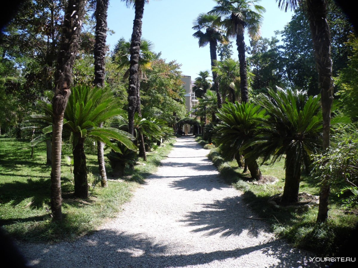 Ботанический сад Абхазия Гагра