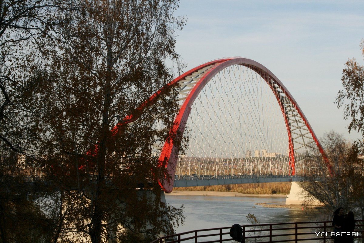 Бугринский мост Новосибирск осень