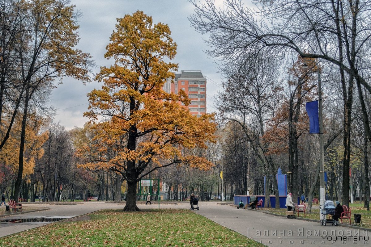 Парк Перово Москва