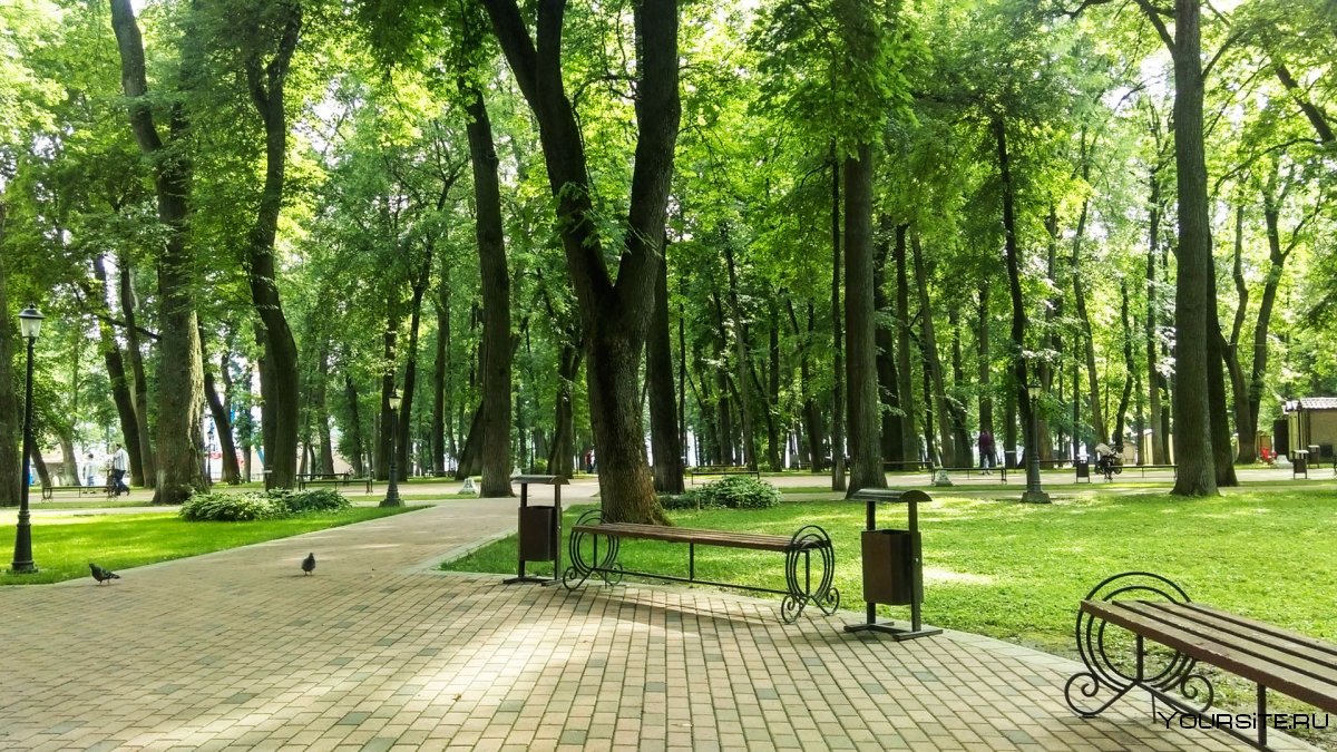 Центральный парк калуга