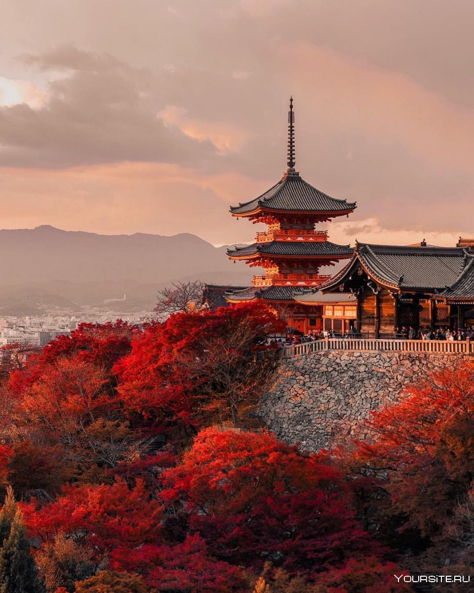 Киото храм Сакура