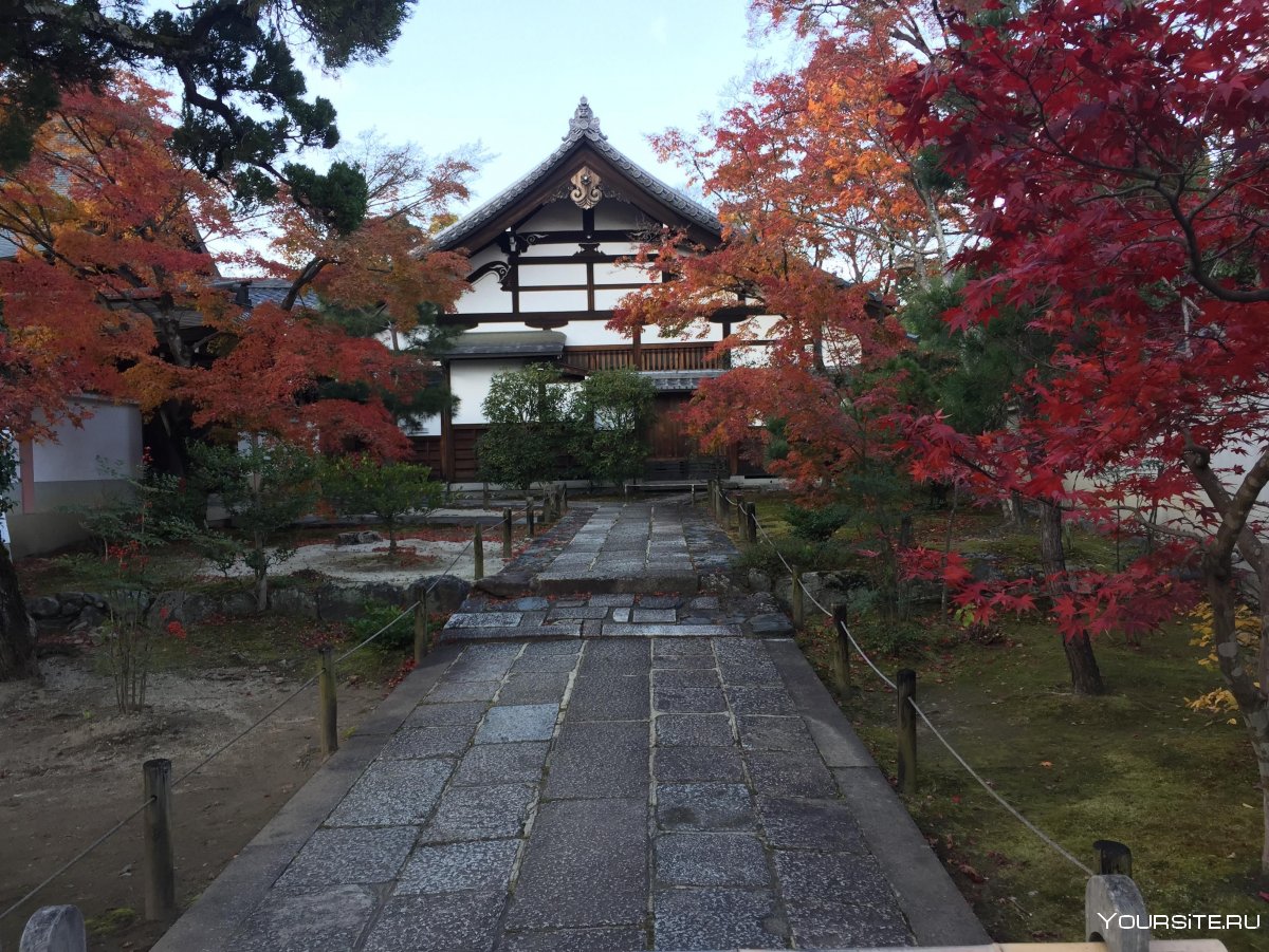 Сады монастыря Мёсиндзи в Киото