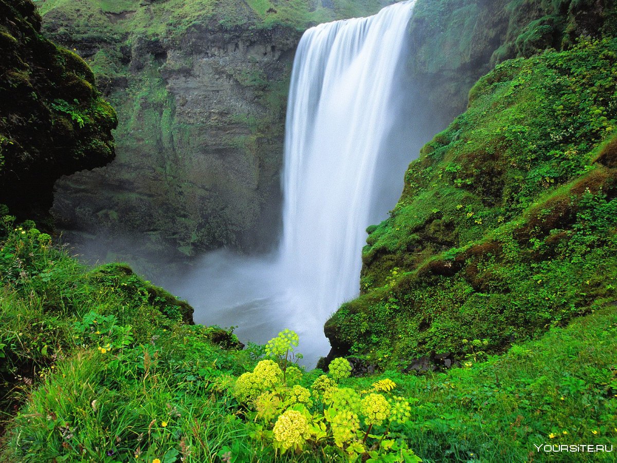 Азорские острова водопады