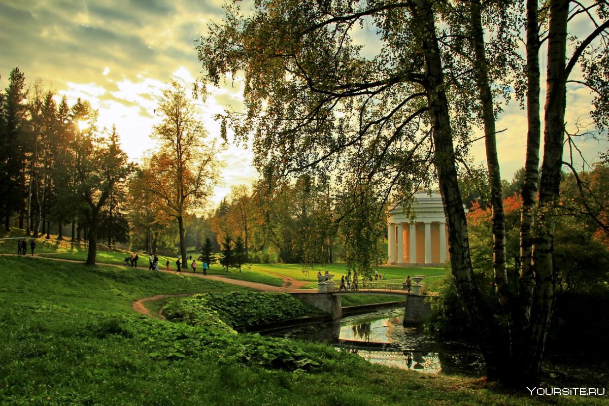 Английский парк в Павловске