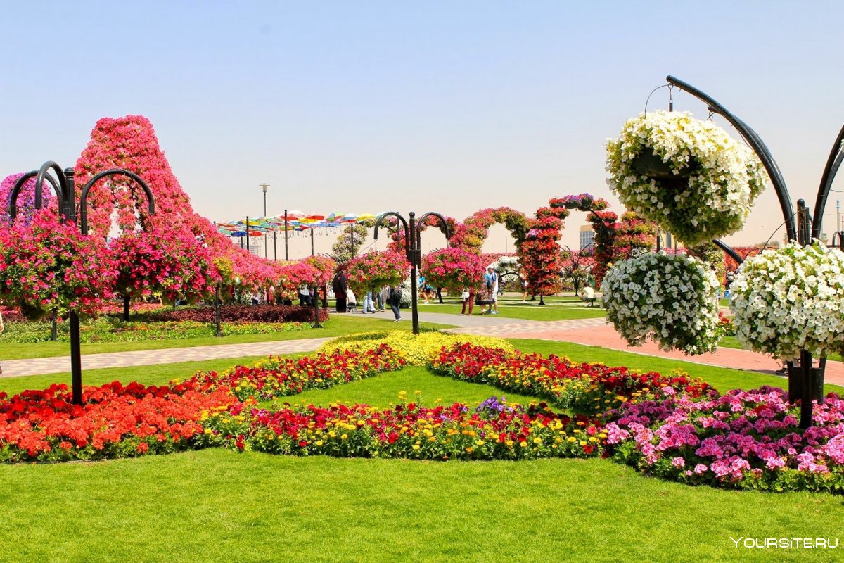 Сад в Дубае