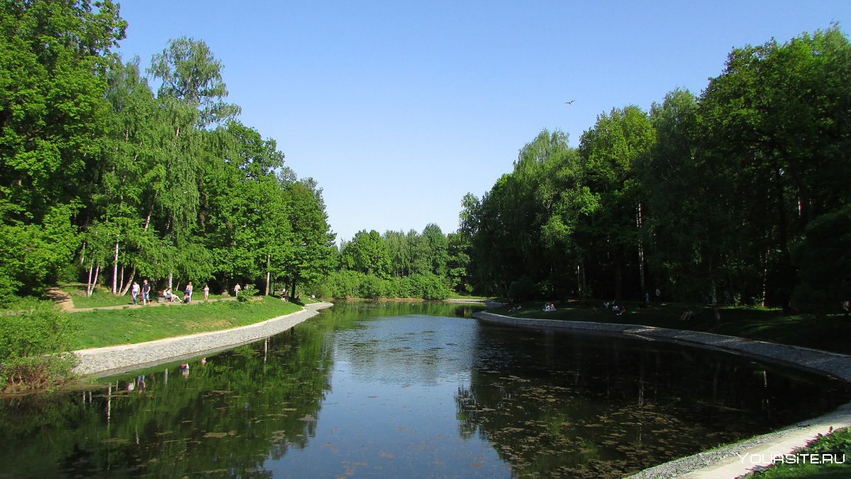Лианозовский парк пруд