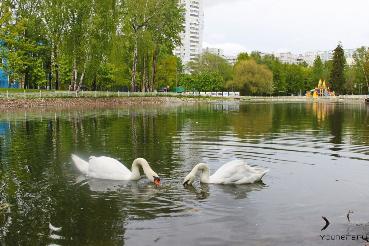 Парк Лианозово Москва