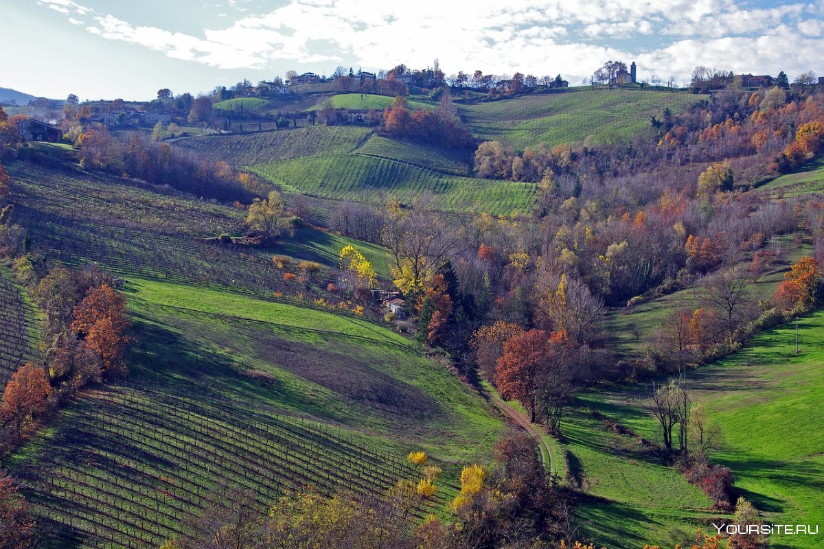 Эмилия-Романья Италия виноградники