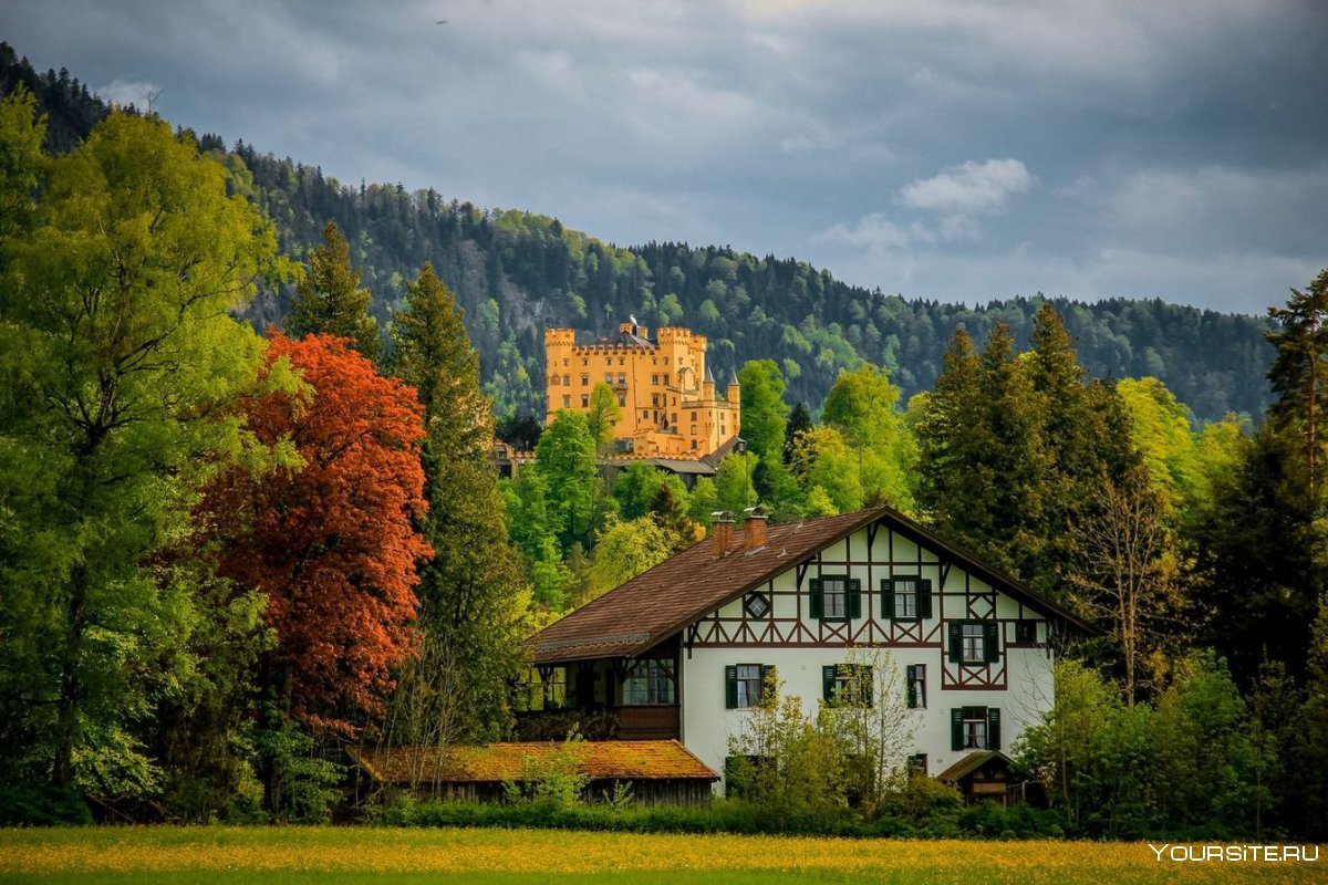 Бавария Германия природа Вильдштайгер