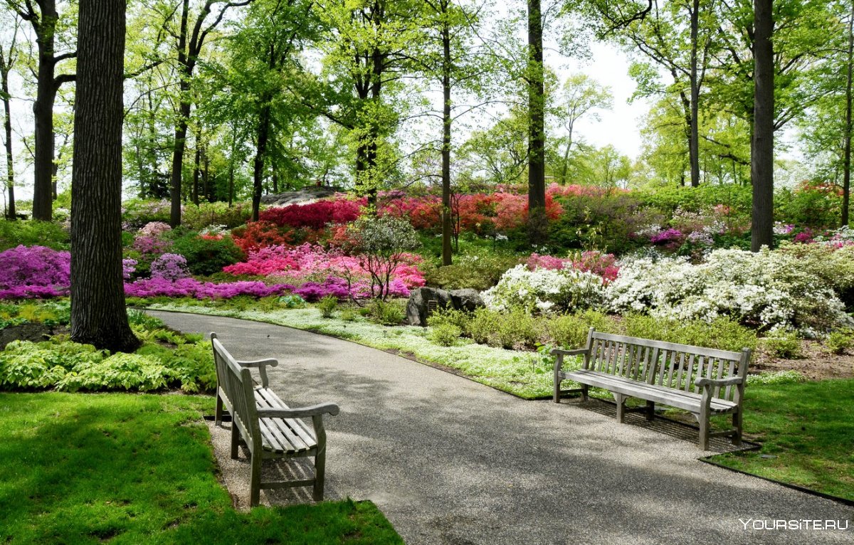 Сад Шекспира в Центральном парке Нью Йорка