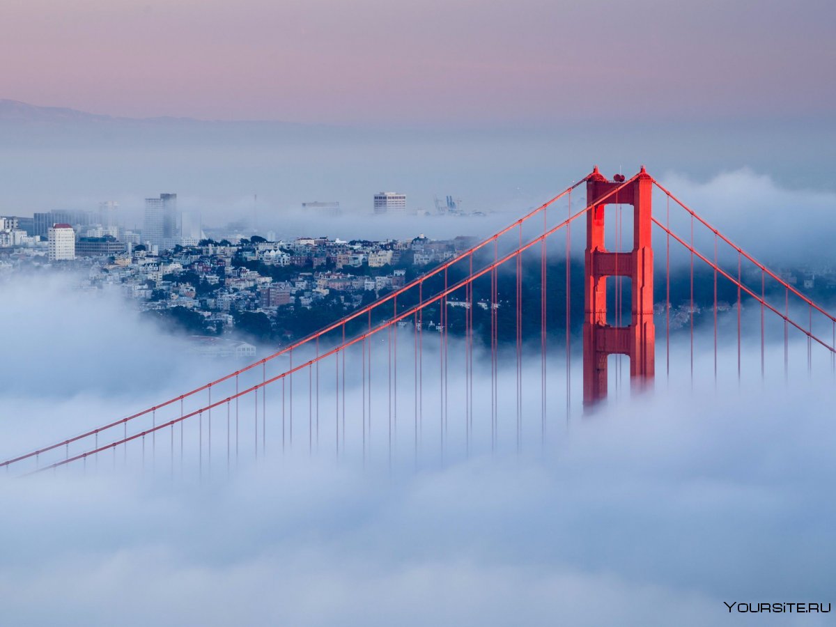 Золотые ворота Сан-Франциско в тумане