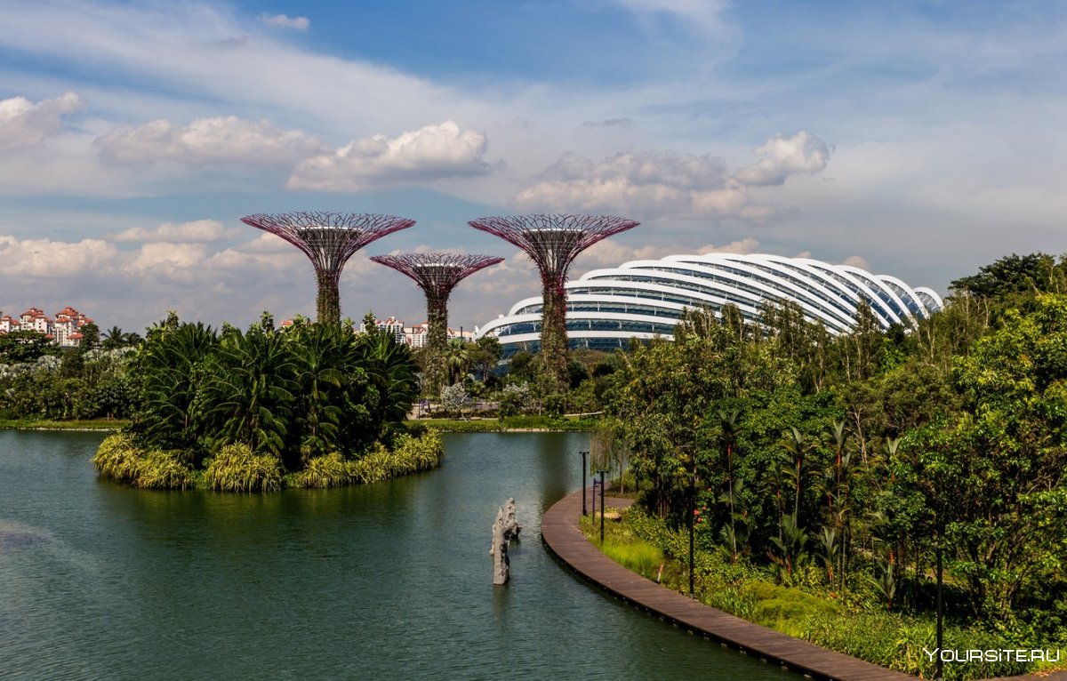 Сингапур достопримечательности Gardens by the Bay