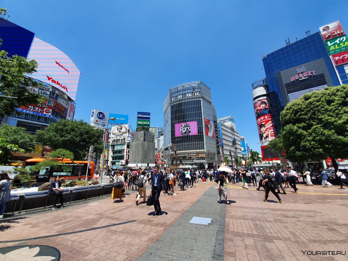 Токио улица Шибуя