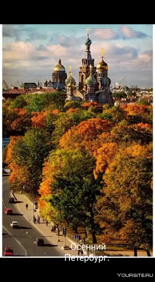 Осенний Санкт-Петербург спас на крови