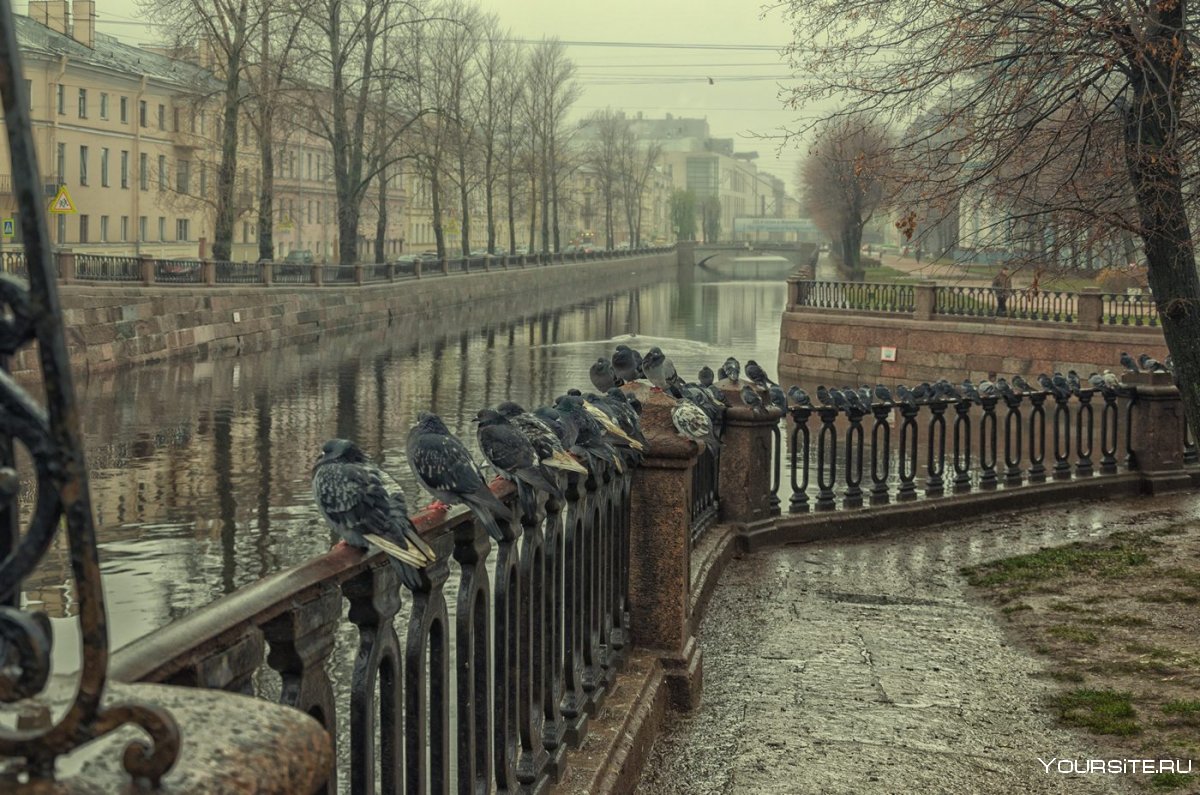 Санкт-Петербург дождь набережная