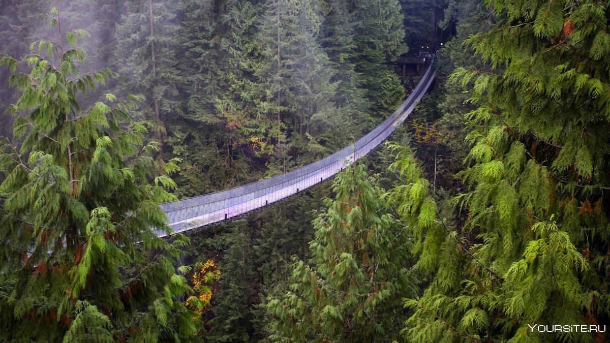 Подвесной мост Ванкувер