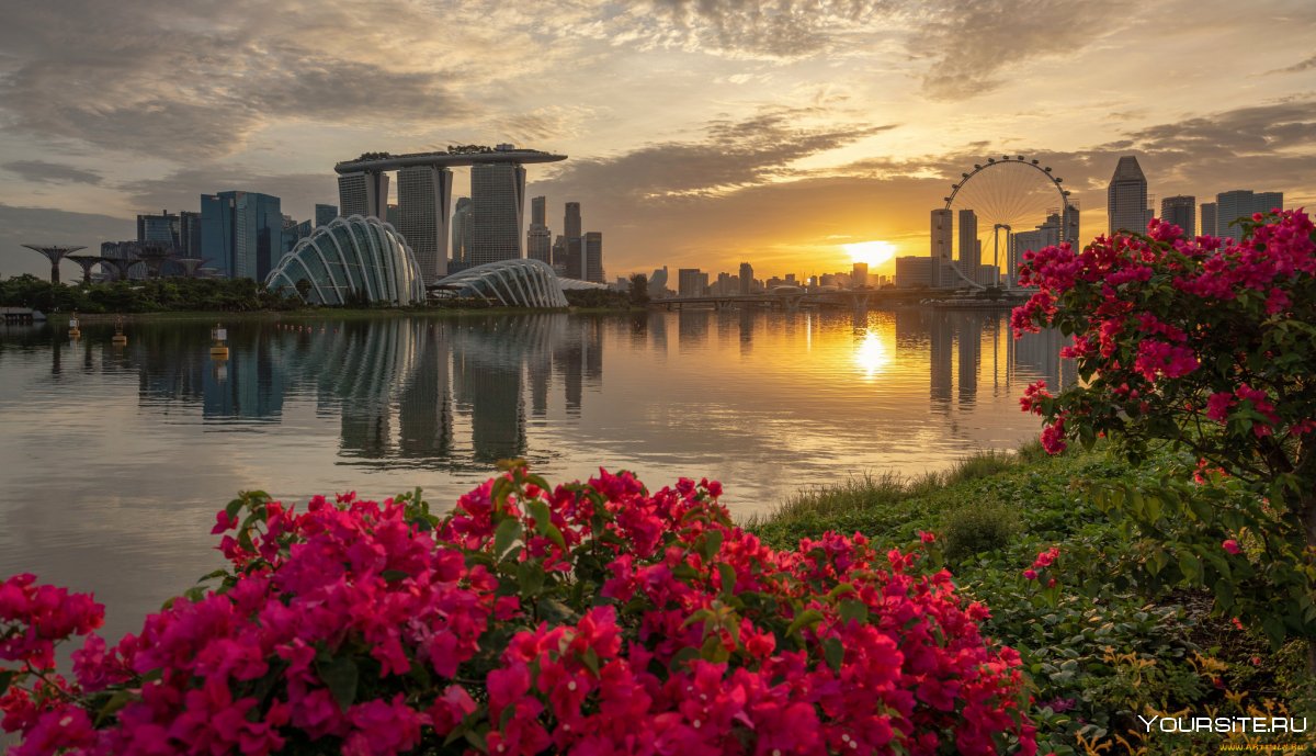 Сингапур природа