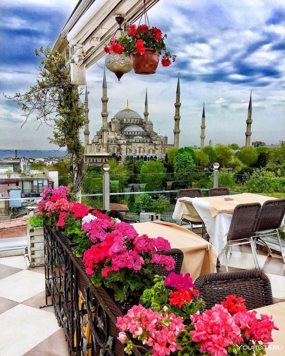 турецкий город стамбул