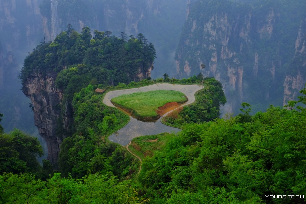 Мангшань национальный Лесной парк