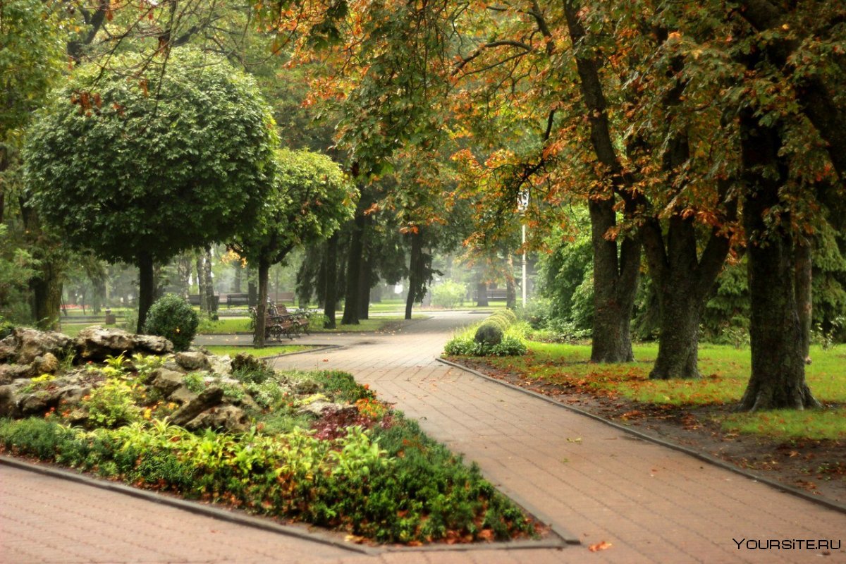 Центральный парк Ставрополь осень