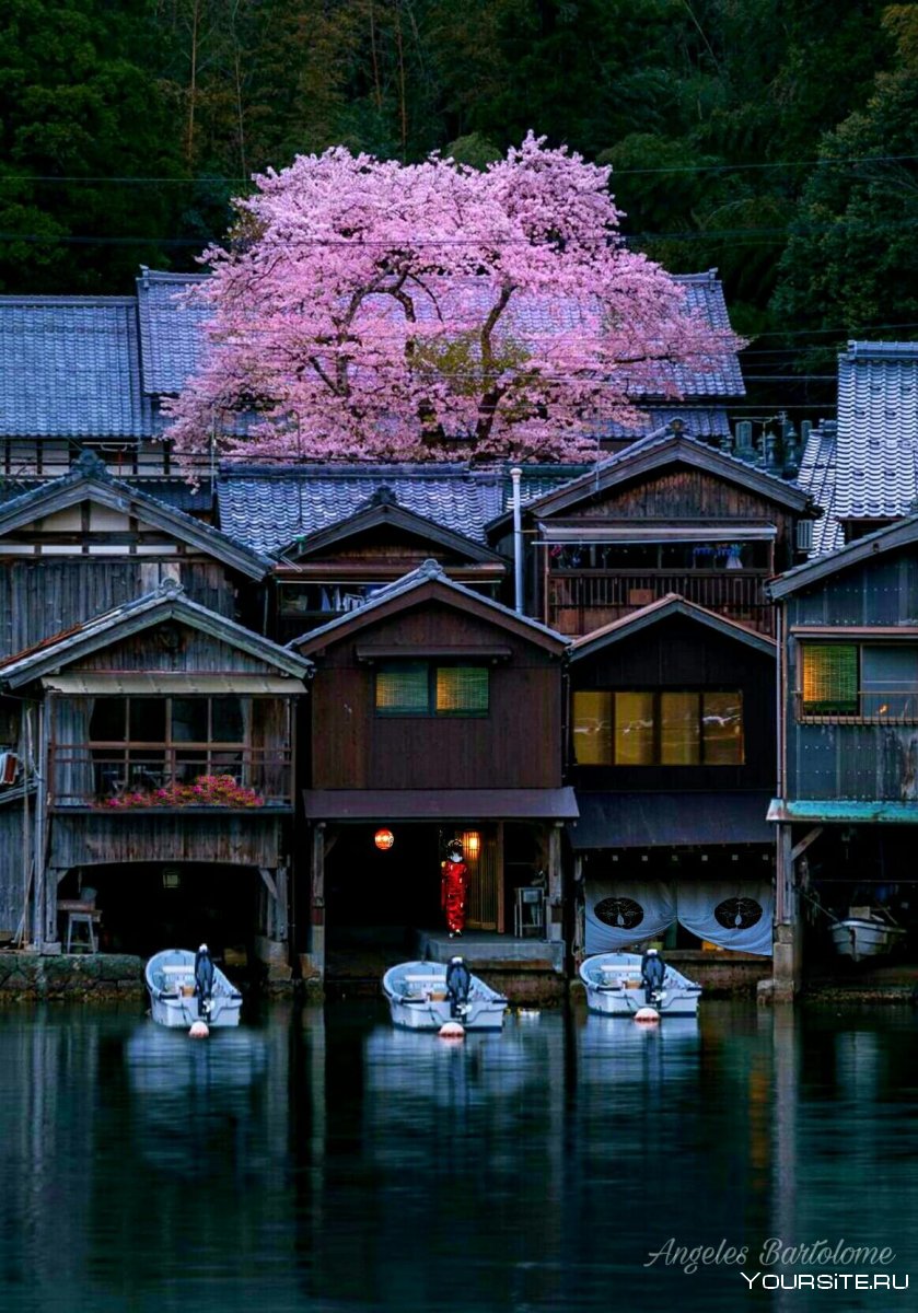 Япония деревни Киото