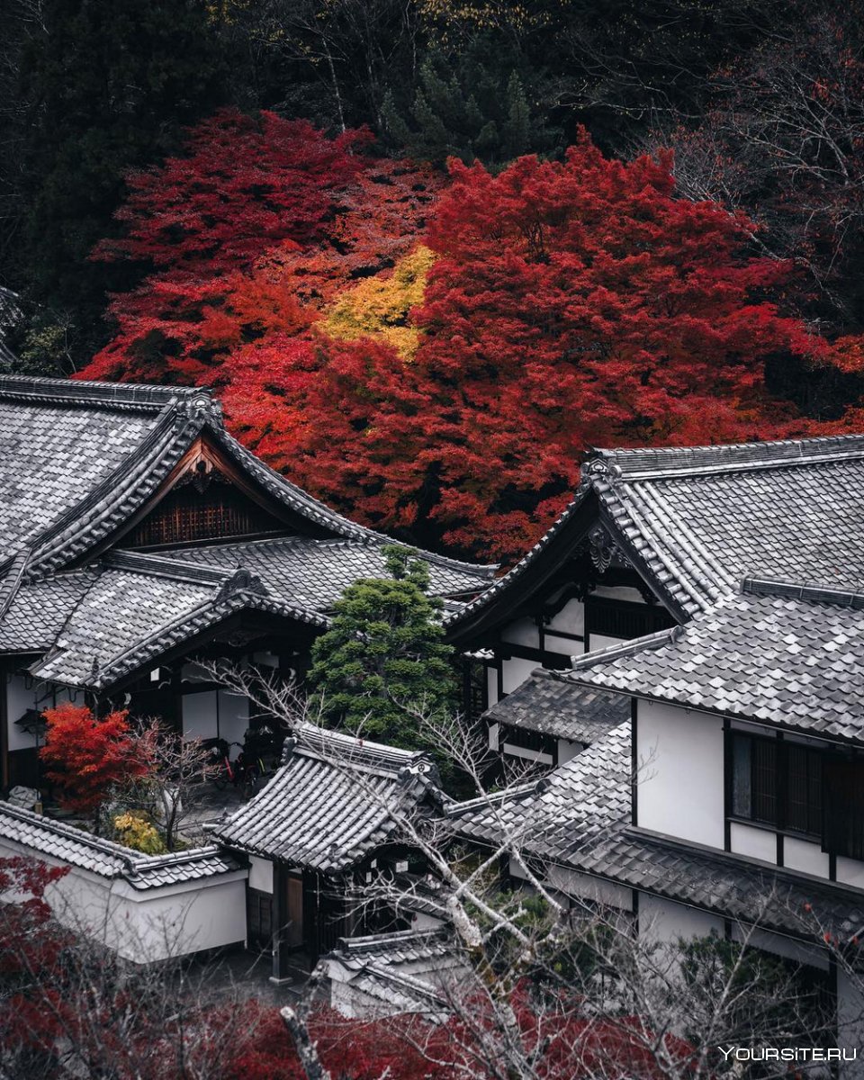 Киото Китай