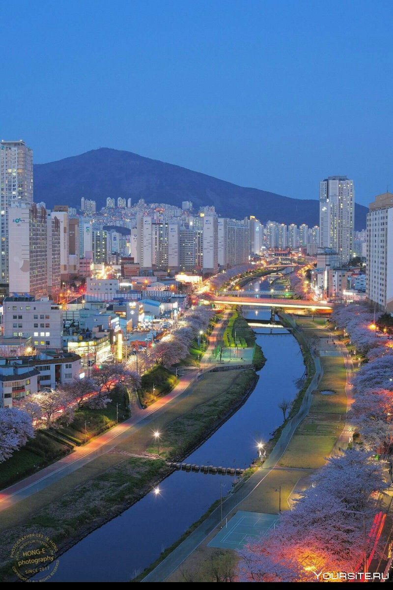 Город Бусан Корея