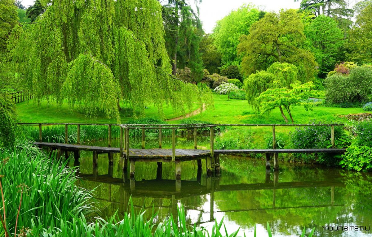 Летний фон парк пруд сад Англия