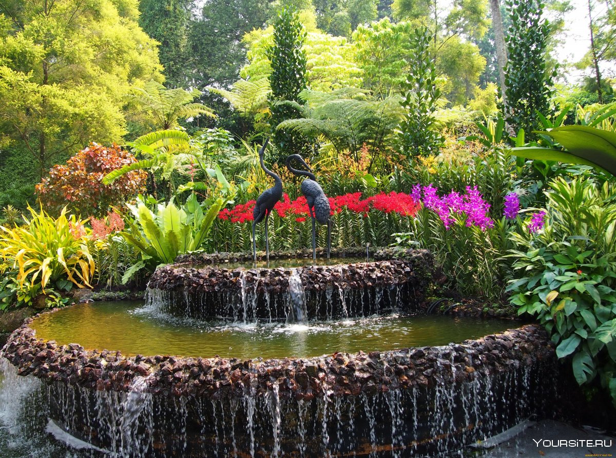 Ботанический сад Москва Fontani