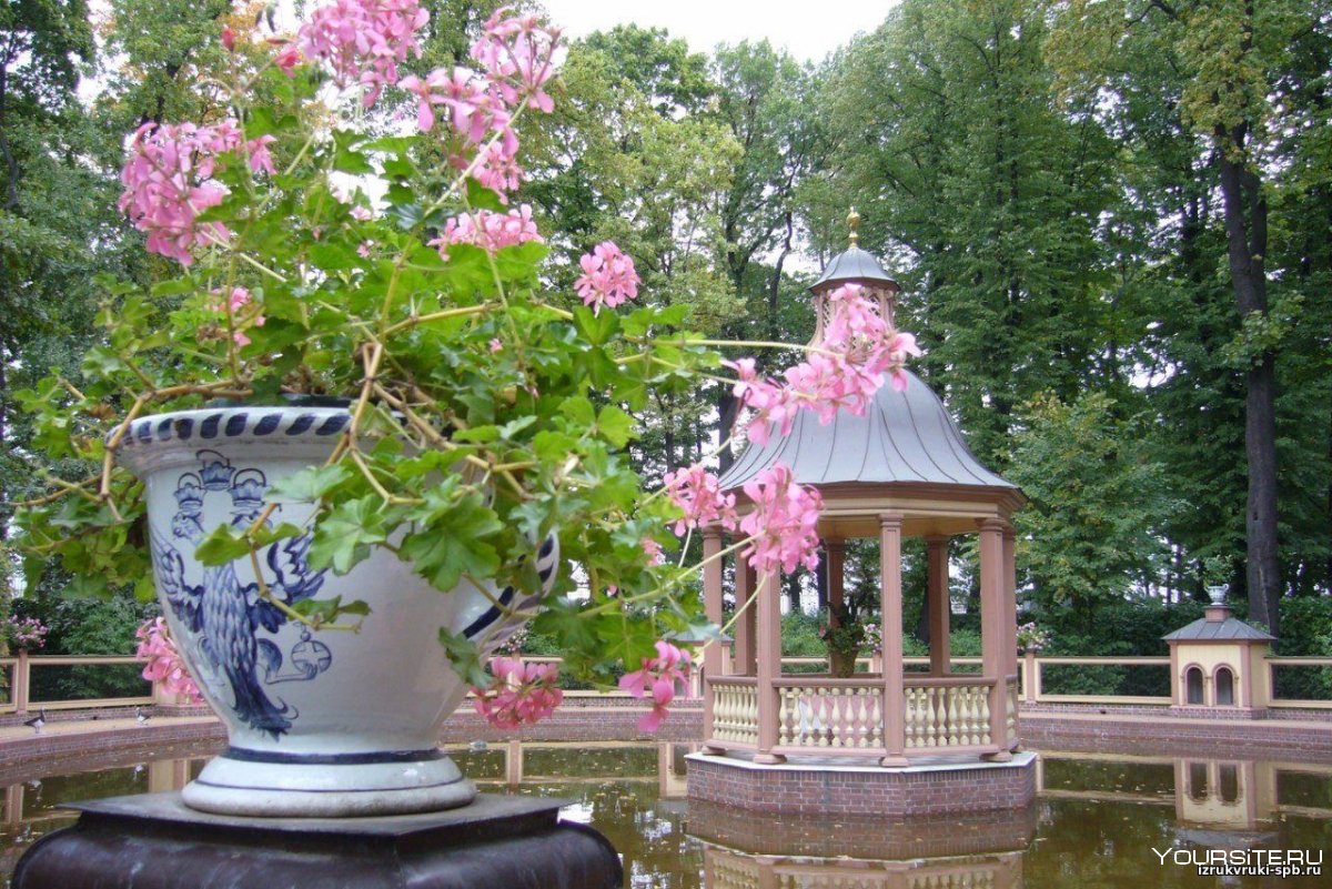 Розарий летнего сада в Петербурге