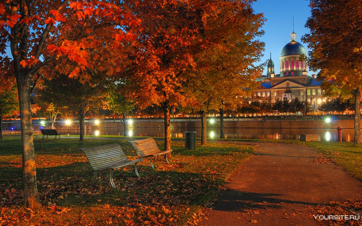 Осень Монреаль парк