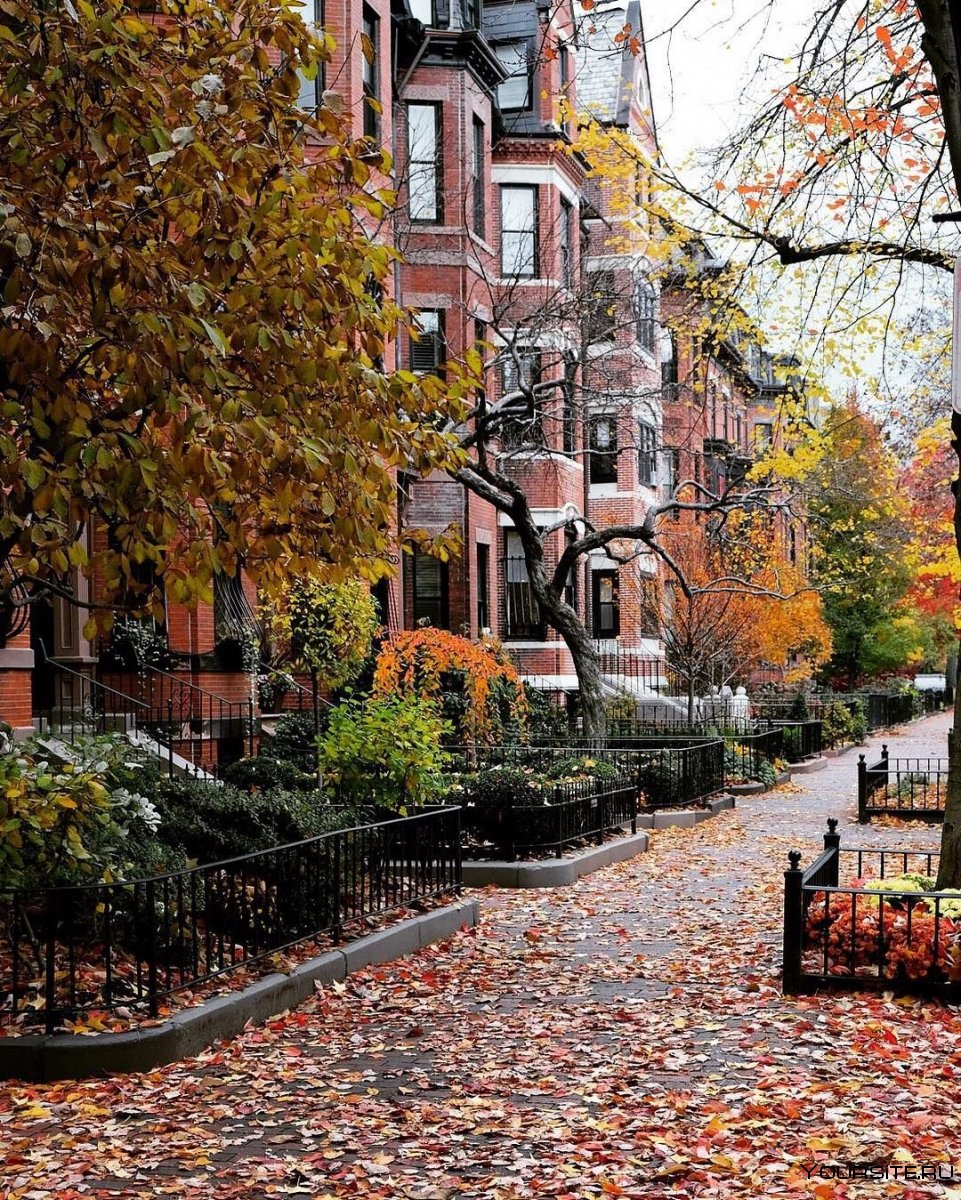 Осенний Нью-Йорк Бруклин