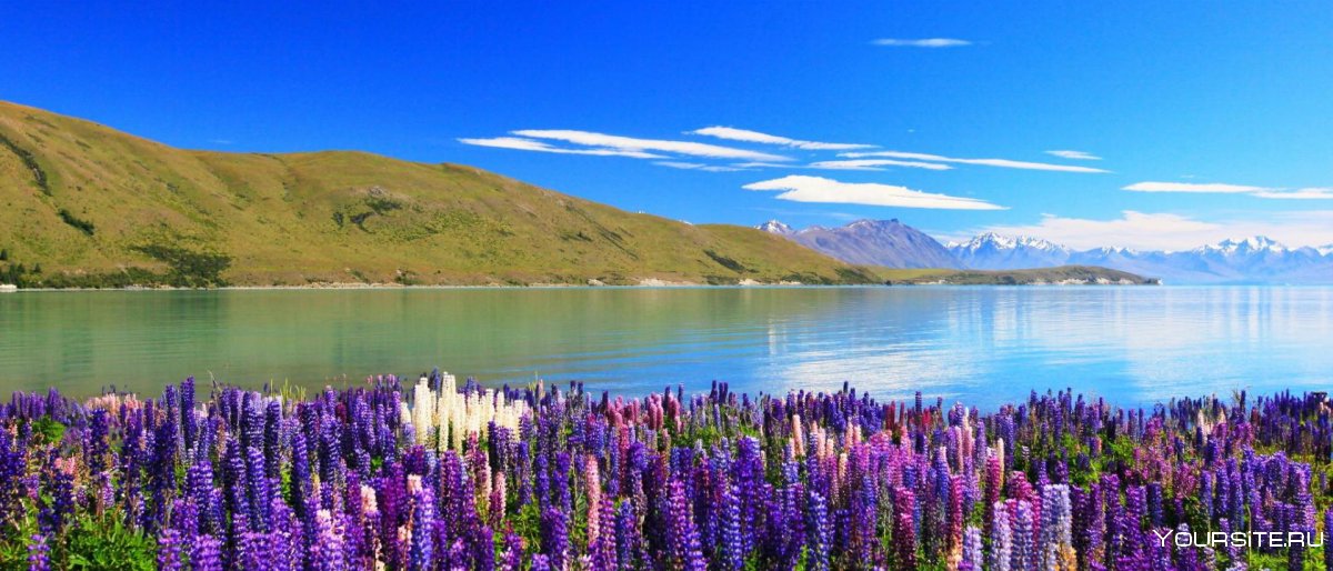 Озеро Текапо в новой Зеландии