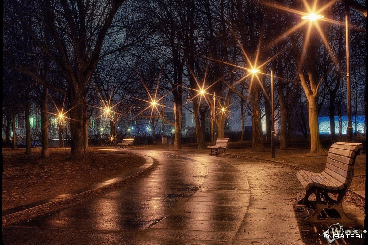 Ночной парк с фонарями