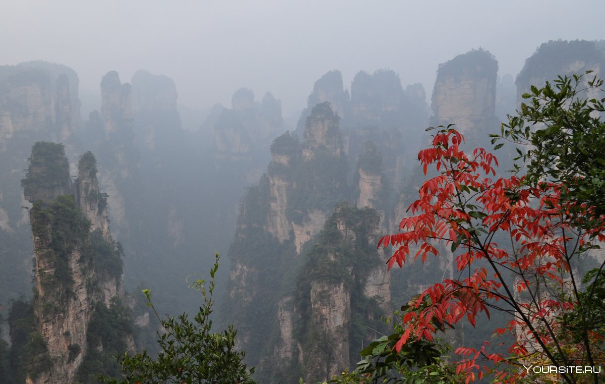 Национальный Лесной парк Чжанцзяцзе, Китай