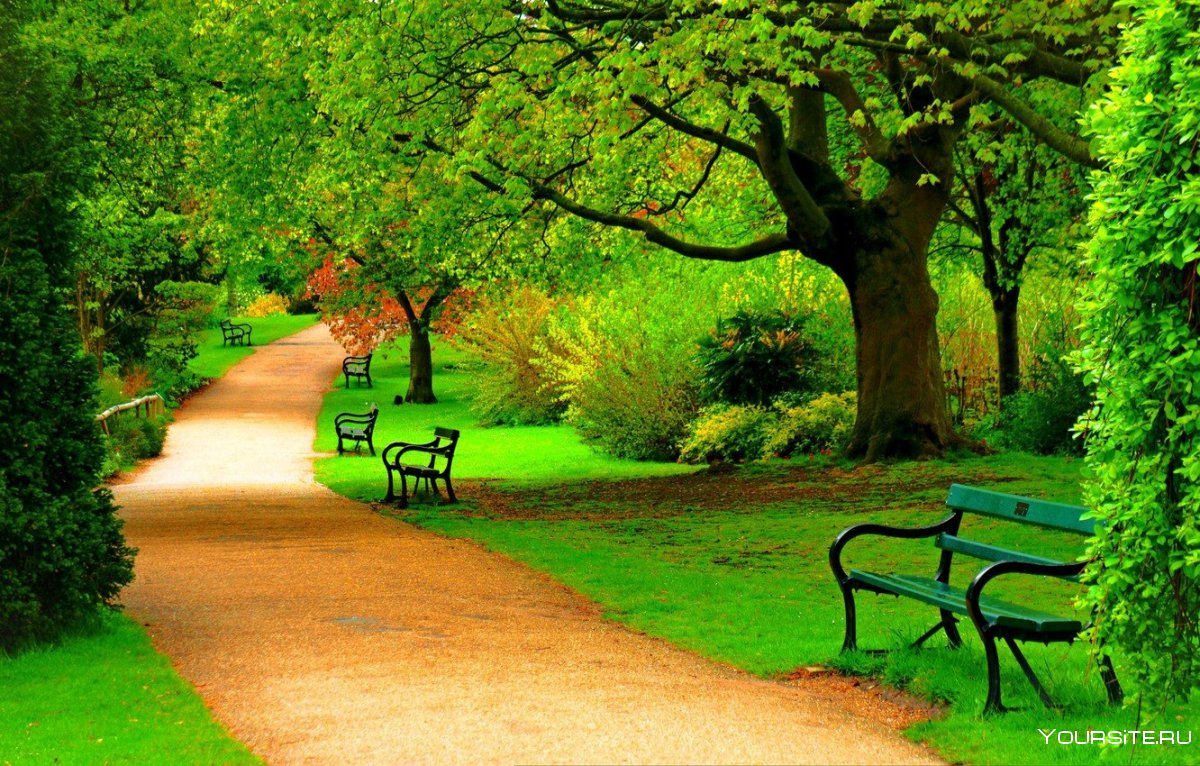 Красивая аллея в парке