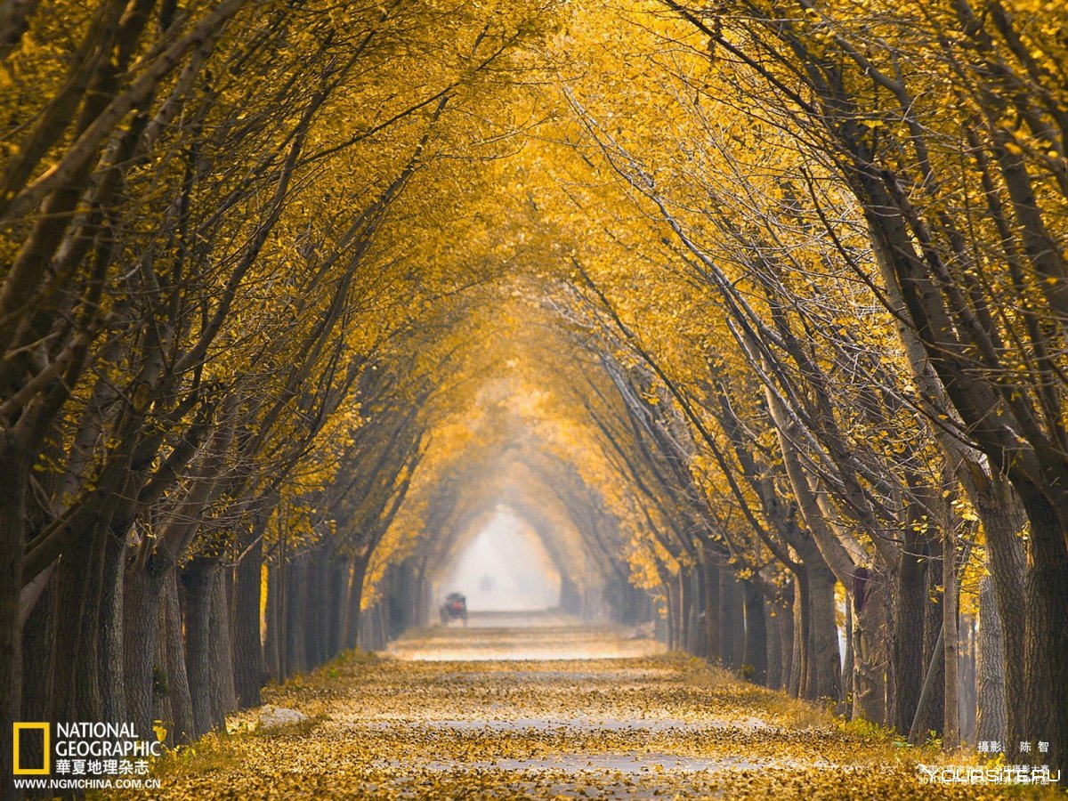 Осень National Geographic