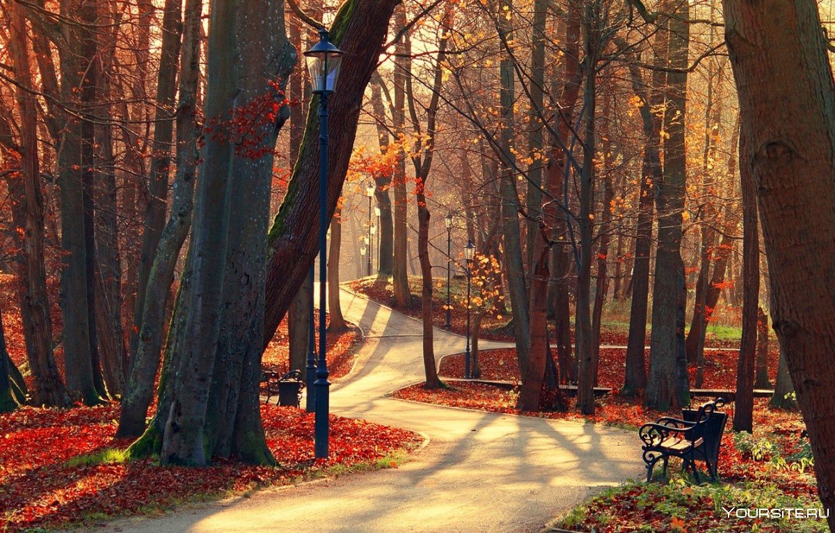 Городской парк осенью