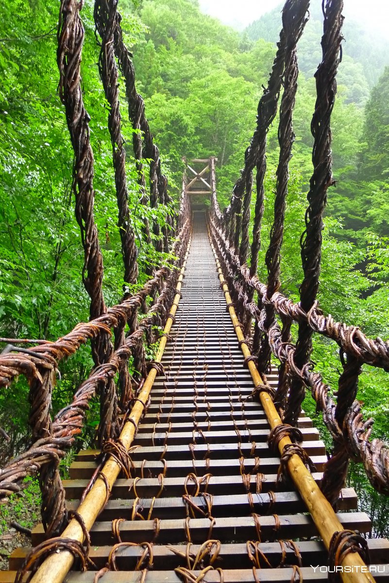 Агурский водопад веревочный мост