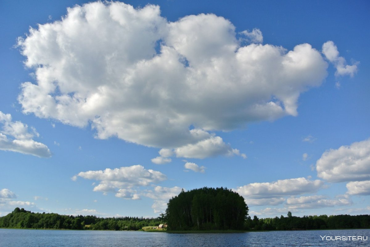 Флора озера Селигер