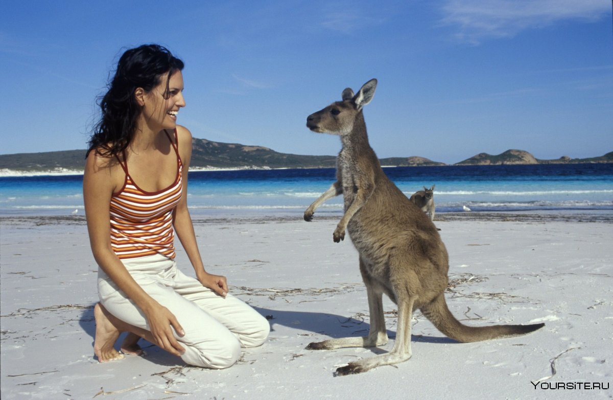Турист в Австралии с кенгуру