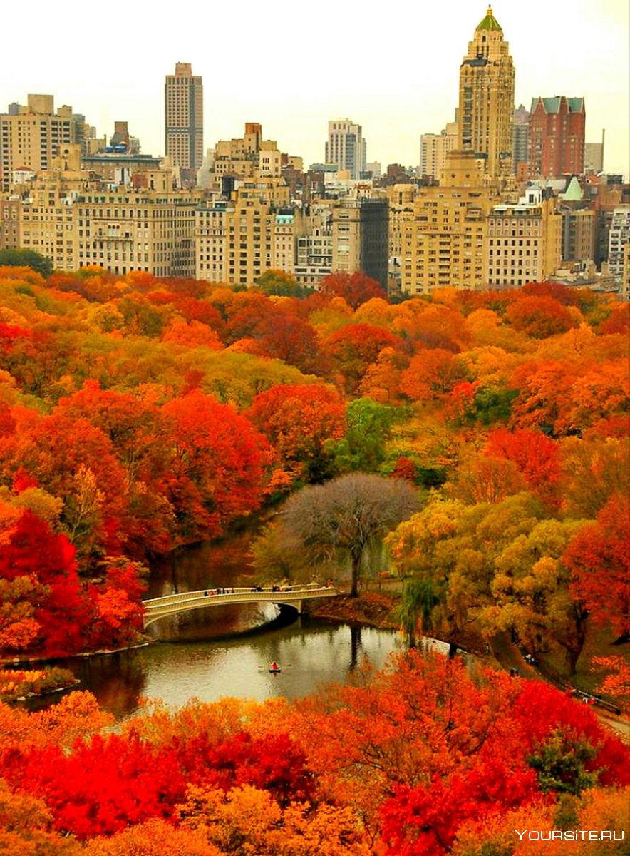 Центральный парк Нью-Йорк осенью