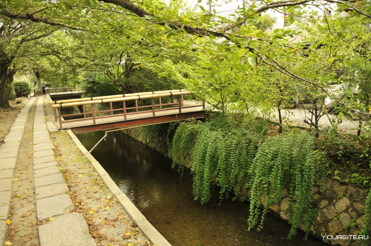 Парк в Японии мостик