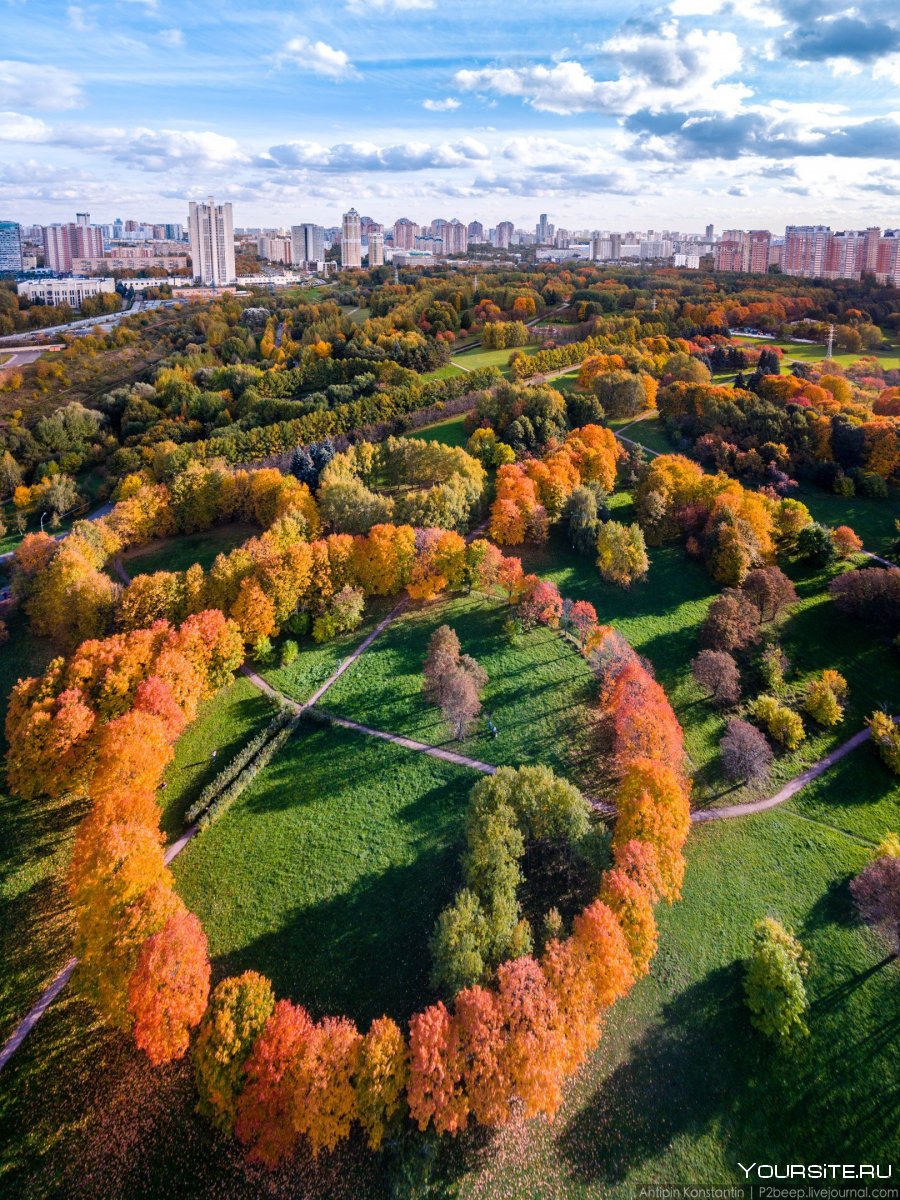 Парк 50-летия октября Москва проспект Вернадского