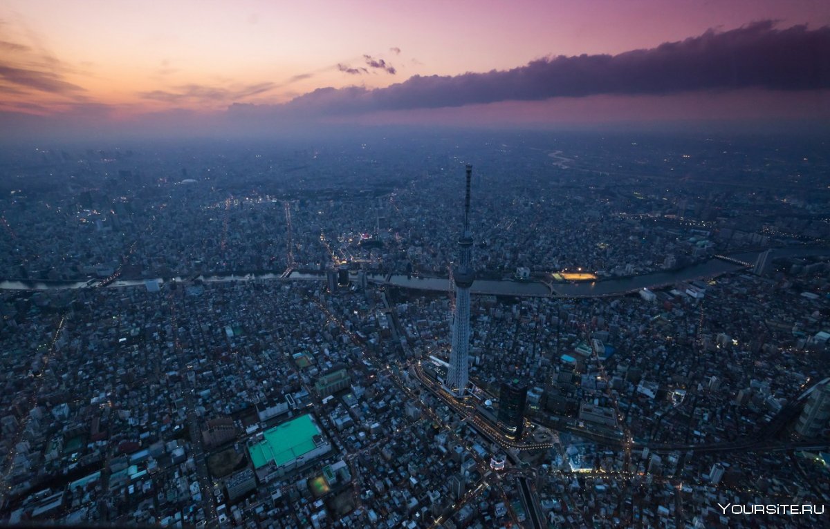 Токио с высоты птичьего полета