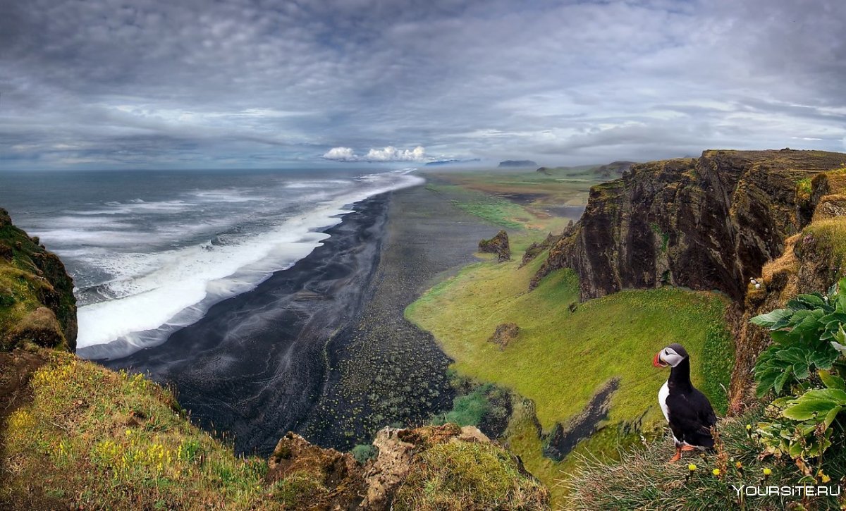 Атлантический тупик в Исландии